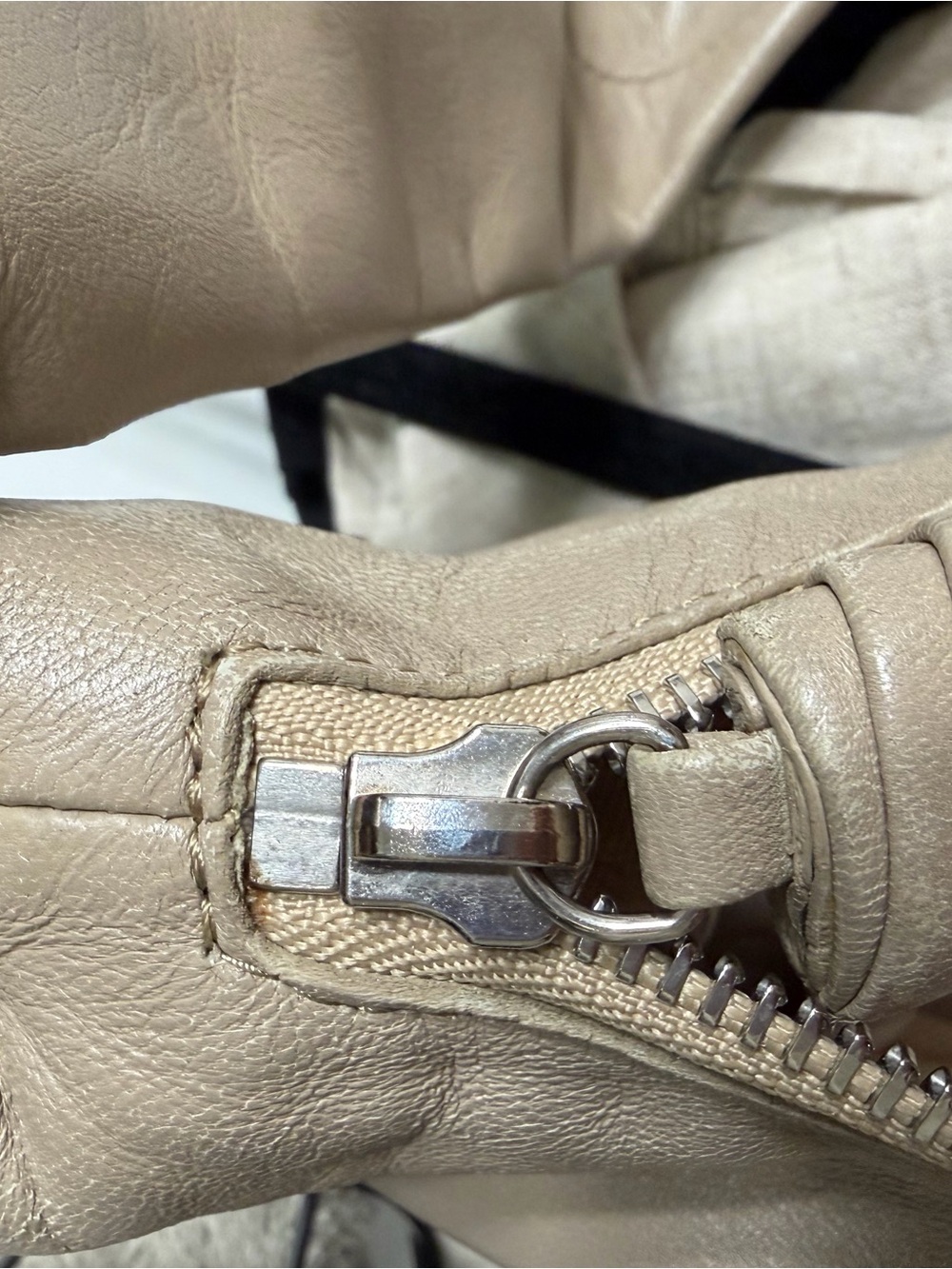 Lemaire small croissant bag - Beige - Picture 12 of 13
